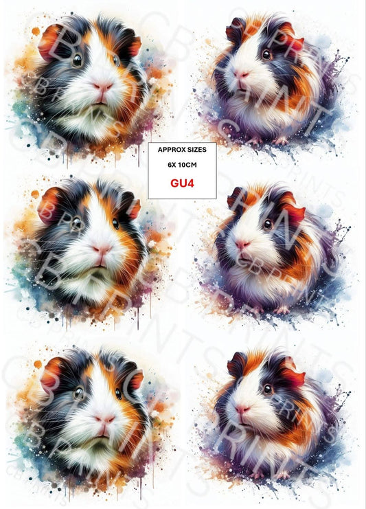 Guinea Pig Decoupage Paper Print GU4 | Mulberry Paper | CB Paper Prints