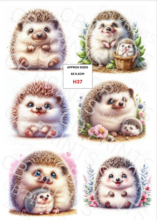 Hedgehog Decoupage Print H37 | Mulberry Paper
