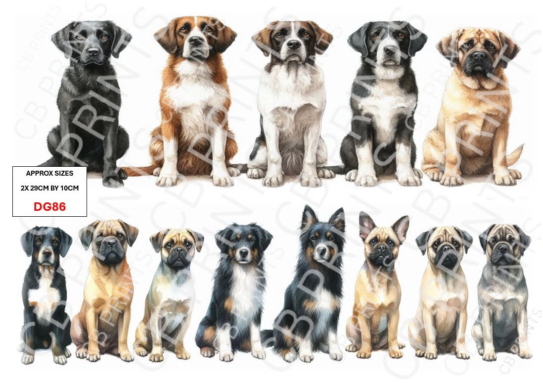 Dog Decoupage Print DG86 | Mulberry Paper