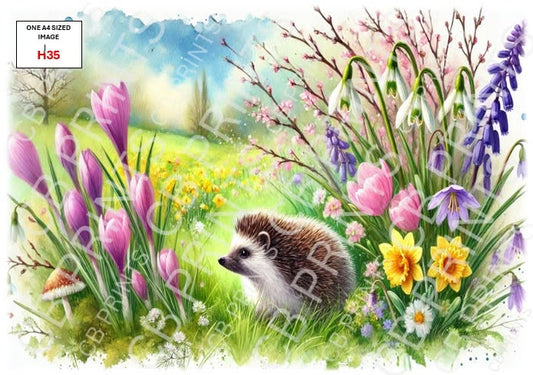 Hedgehog Decoupage Print H35 | Mulberry Paper