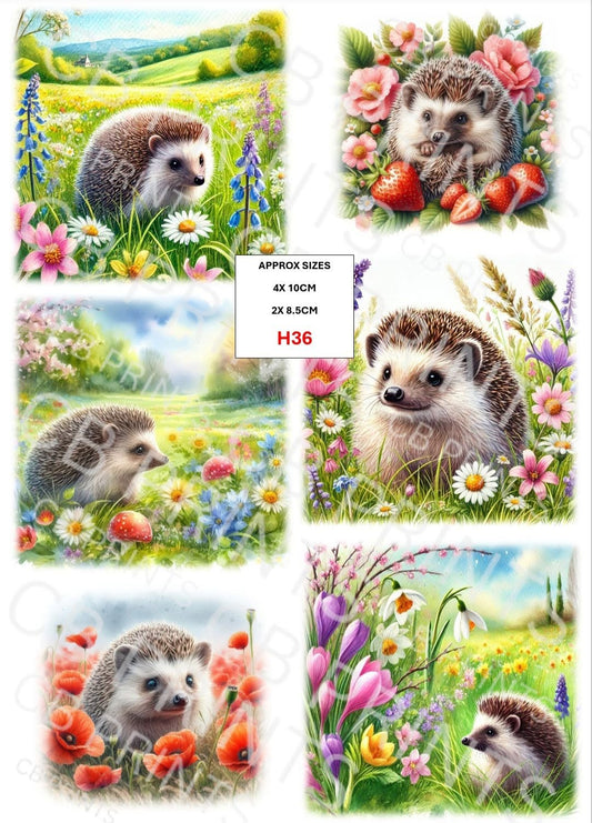 Hedgehog Decoupage Print H36 | Mulberry Paper