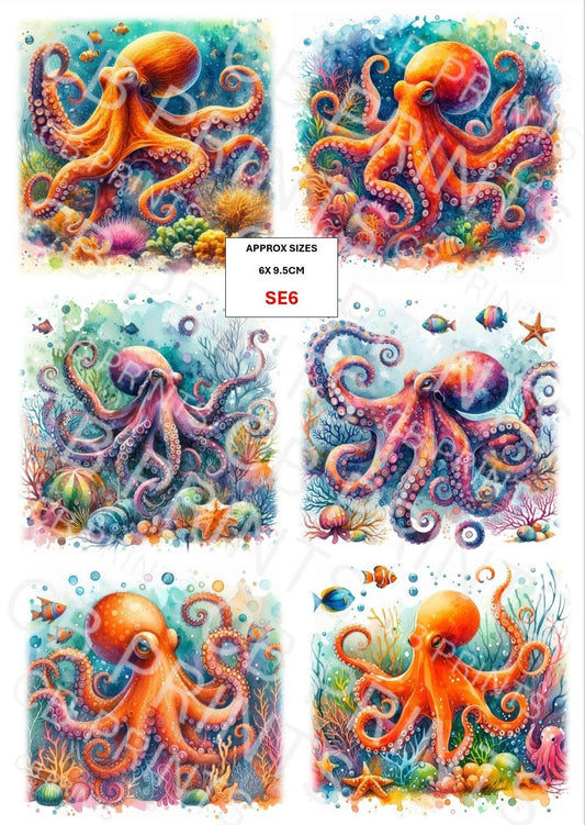 Octopus Decoupage Paper Print SE6 – Beach Mulberry Paper