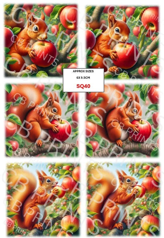 Squirrel Decoupage Print SQ40 | Mulberry Paper