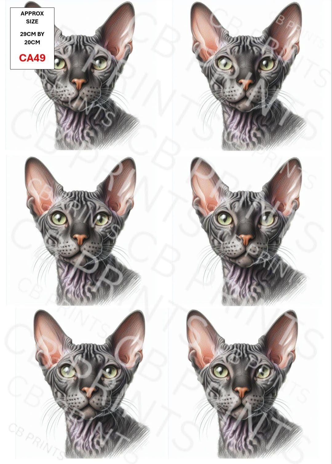 Cat Decoupage Paper CA49 – Mulberry Paper Print