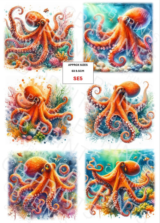 Octopus Decoupage Paper Print SE5 – Beach Mulberry Paper
