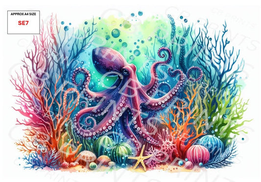 Octopus Decoupage Paper Print SE7 – Beach Mulberry Paper