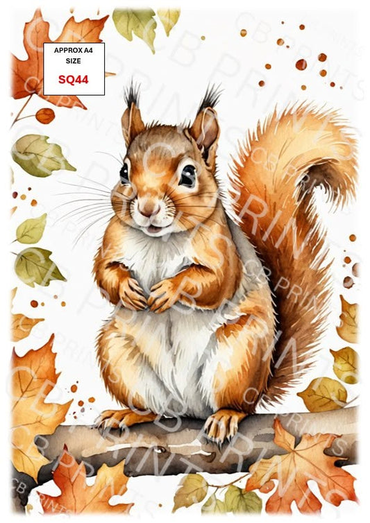 Squirrel Decoupage Print SQ44 | Mulberry Paper