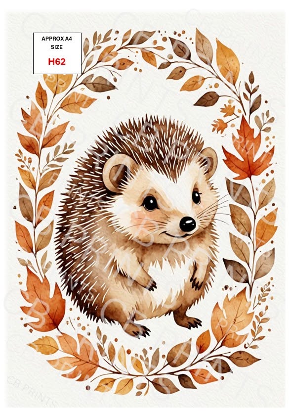 Hedgehog Decoupage Print H62 | Mulberry Paper