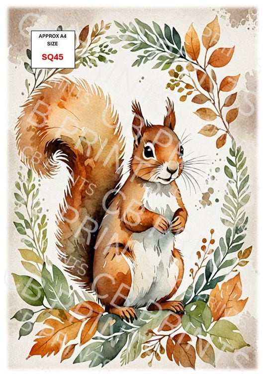 Squirrel Decoupage Print SQ45 | Mulberry Paper