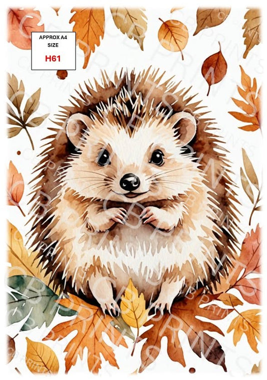Hedgehog Decoupage Print H61 | Mulberry Paper