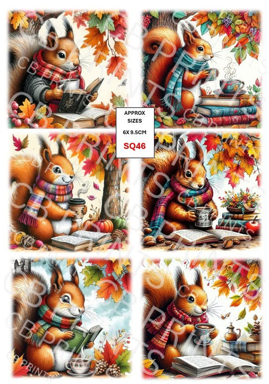 Squirrel Decoupage Print SQ46 | Mulberry Paper