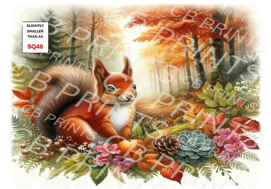 Squirrel Decoupage Print SQ48 | Mulberry Paper