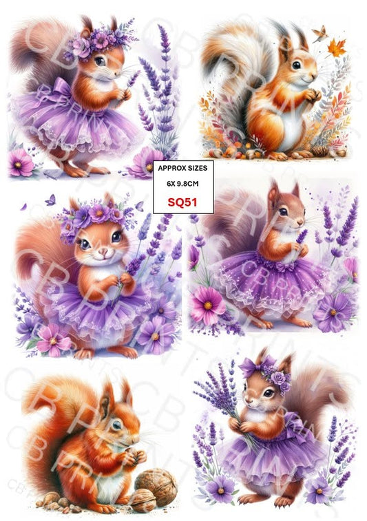 Squirrel Decoupage Print SQ51 | Mulberry Paper