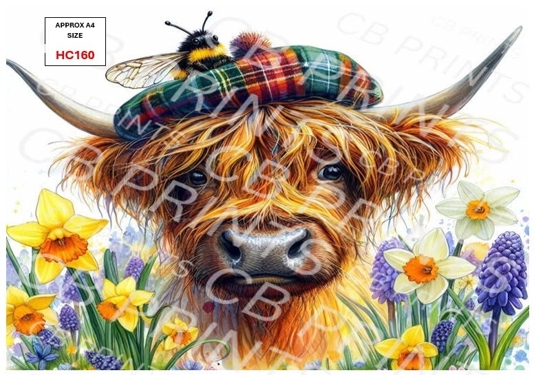 Highland Cow Decoupage Print HC160 | Mulberry Paper