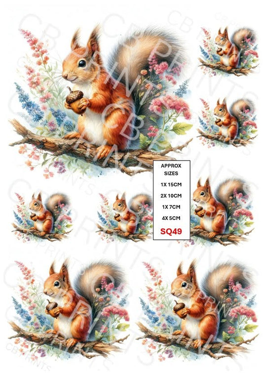 Squirrel Decoupage Print SQ49 | Mulberry Paper