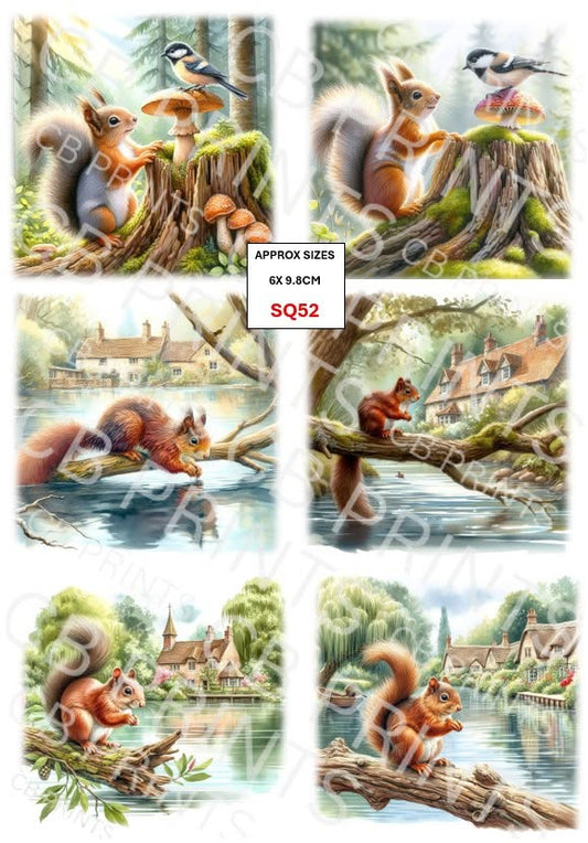 Squirrel Decoupage Print SQ52 | Mulberry Paper
