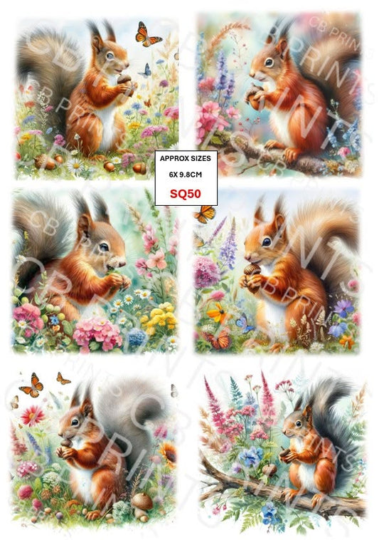Squirrel Decoupage Print SQ50 | Mulberry Paper