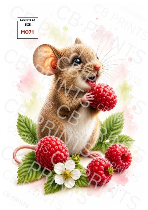 Mouse Decoupage Paper MO71 – Mulberry Paper Print