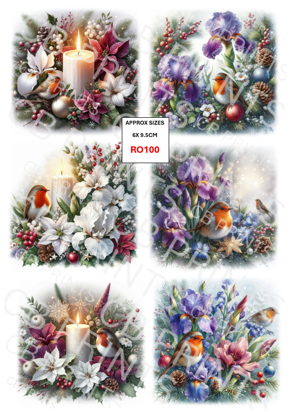Robin Decoupage Print RO100 | Mulberry Paper