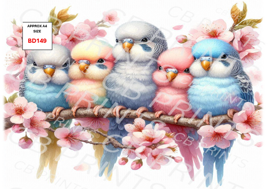 Budgie Bird Decoupage Print BD149 | Mulberry Paper