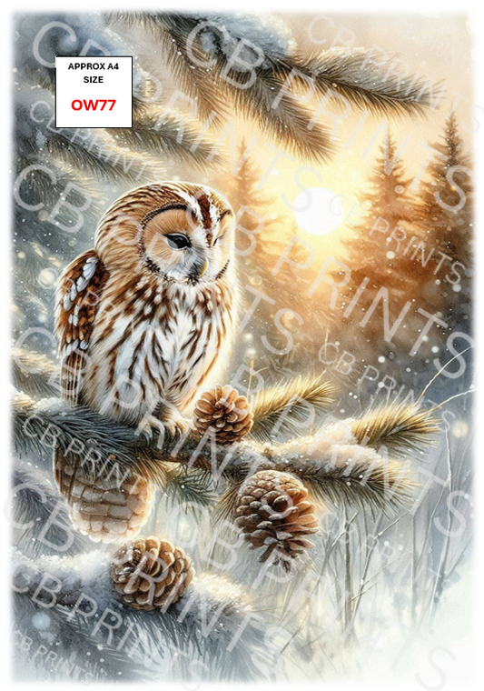 Owl Decoupage Print OW77 | Mulberry Paper