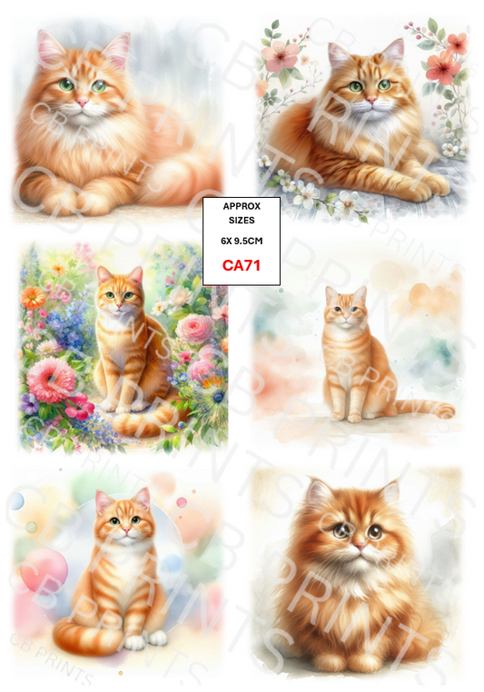 Cat Decoupage Paper CA71 – Mulberry Paper Print