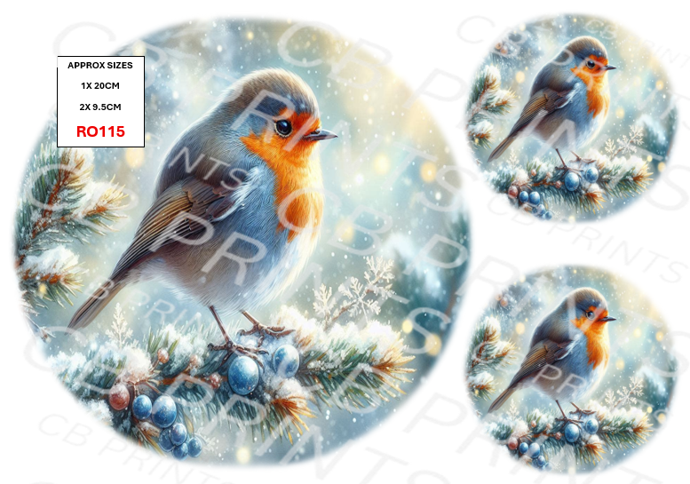 Robin Decoupage Print RO115 | Mulberry Paper