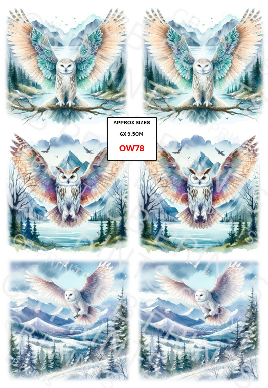 Owl Decoupage Paper Print OW78 – Mulberry Paper