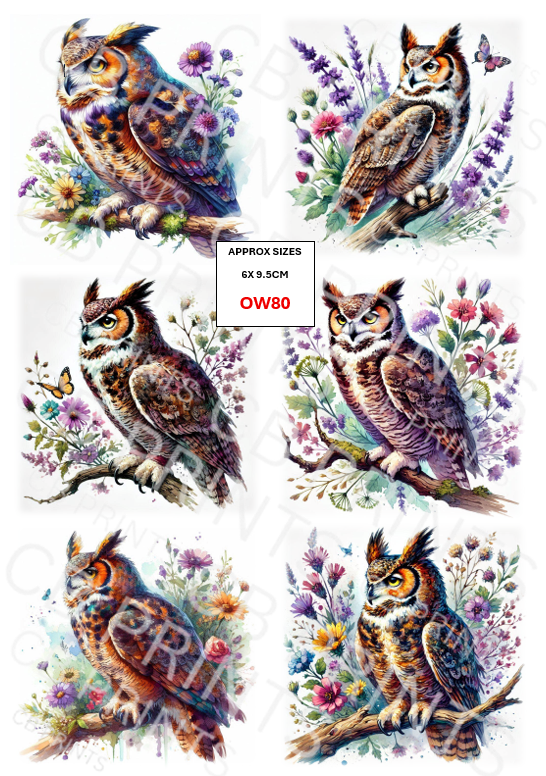 Owl Decoupage Paper Print OW80 – Mulberry Paper