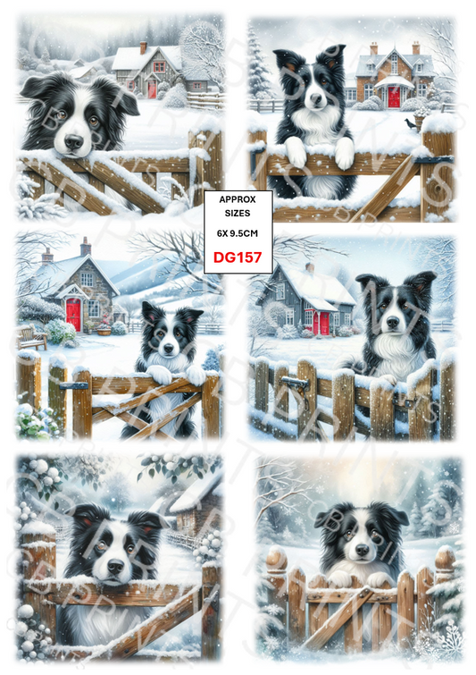 Border collie Dog Decoupage Print DG157 | Mulberry Paper