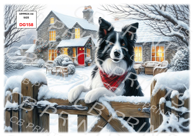 Border collie Dog Decoupage Print DG158 | Mulberry Paper