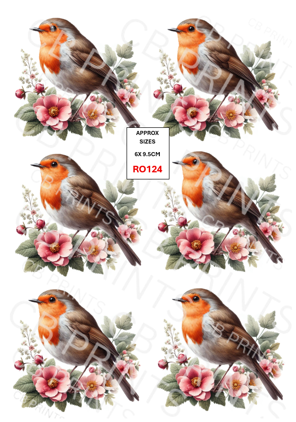 Robin Decoupage Print RO124 | Mulberry Paper