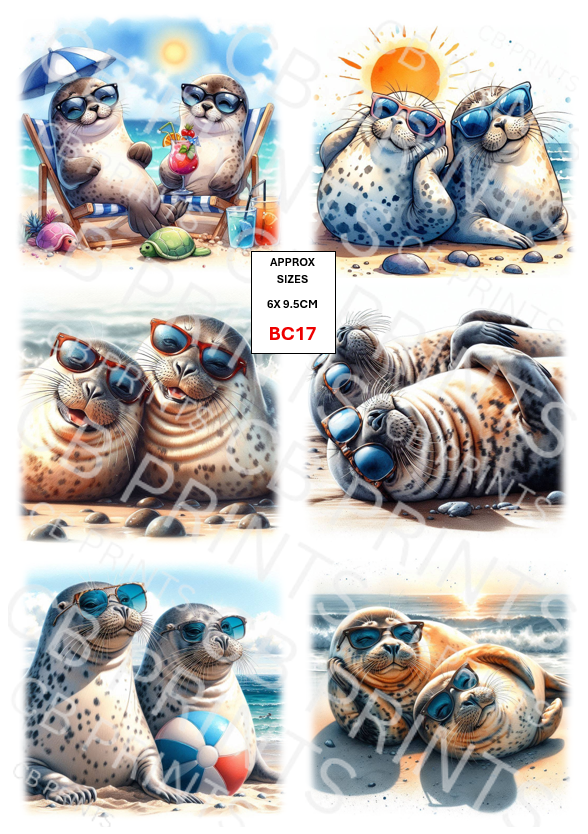 Funny Seal Decoupage Paper Print BC17 – Mulberry Paper