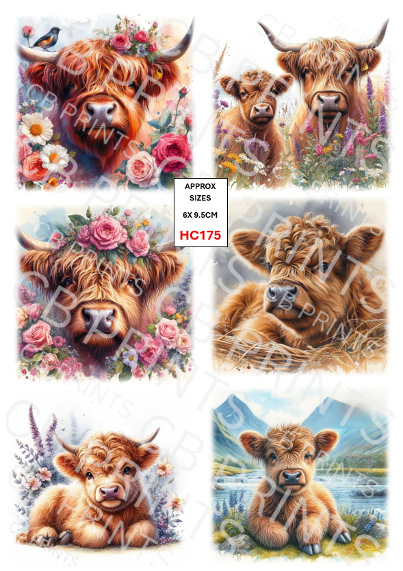 Highland Cow Decoupage Print HC175 | Mulberry Paper