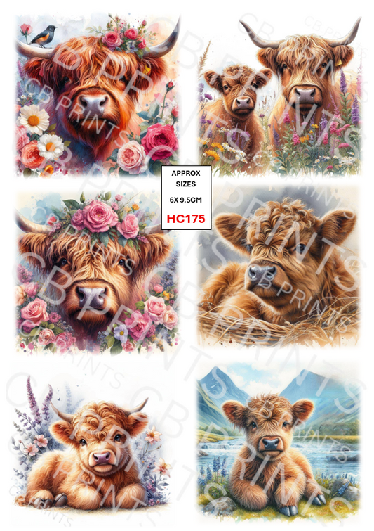 Highland Cow Decoupage Print HC175 | Mulberry Paper