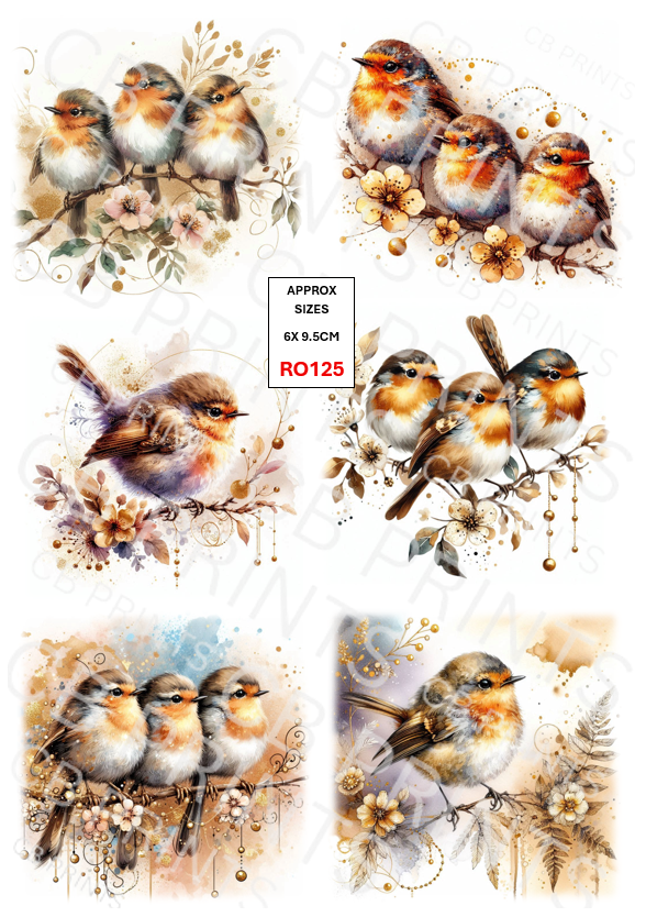 Robin Decoupage Print RO125 | Mulberry Paper
