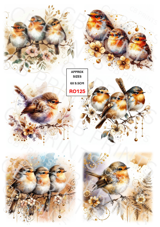 Robin Decoupage Print RO125 | Mulberry Paper