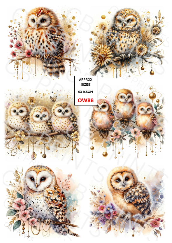 Owl Decoupage Paper Print OW86 – Mulberry Paper
