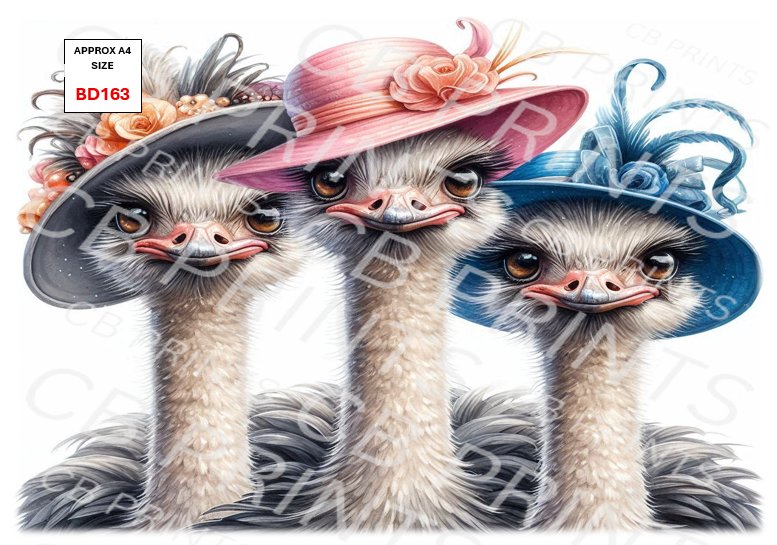 Ostrich Decoupage Paper Print BD163 – Mulberry Paper