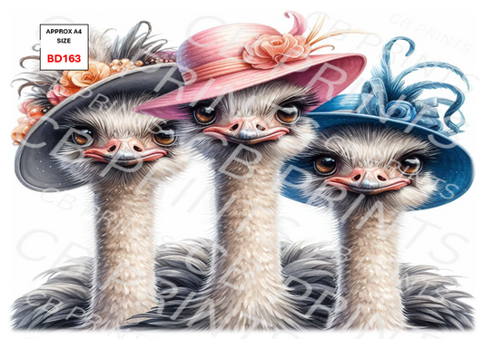 Ostrich Decoupage Paper Print BD163 – Mulberry Paper