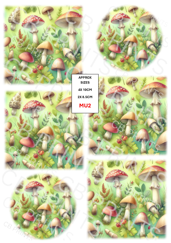 Mushroom & Toadstool Decoupage Paper Print MU2 | Mulberry Paper