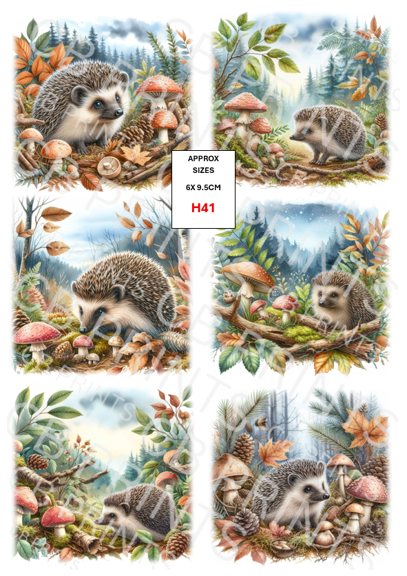 Hedgehog Decoupage Print H41 | Mulberry Paper