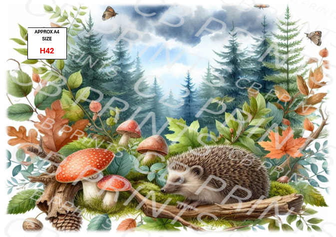 Hedgehog Decoupage Print H42 | Mulberry Paper