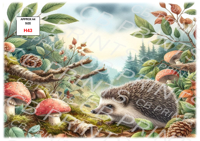 Hedgehog Decoupage Print H43 | Mulberry Paper