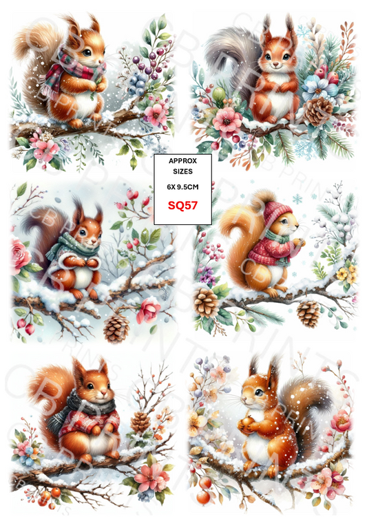 Squirrel Decoupage Print SQ57 | Mulberry Paper