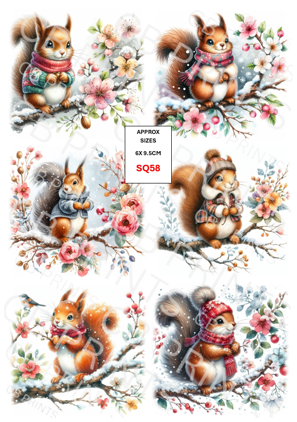Squirrel Decoupage Print SQ58 | Mulberry Paper