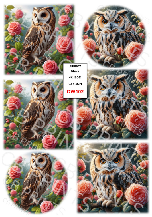 Owl Decoupage Paper Print OW102 – Mulberry Paper
