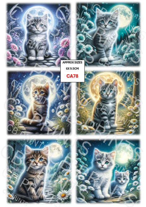Cat Decoupage Paper CA78 – Mulberry Paper Print