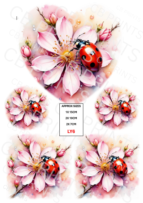 Ladybird Decoupage Paper LY6 – Mulberry Paper Print