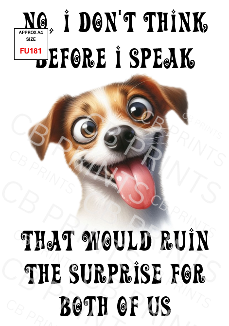 Funny Decoupage Print FU181 | Mulberry Paper